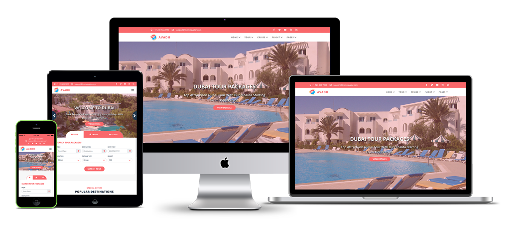 Web Digital Marketing Portfolio